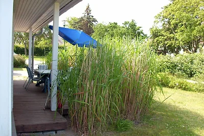 Ferienhaus Kaltenhofer Strandmuschel
