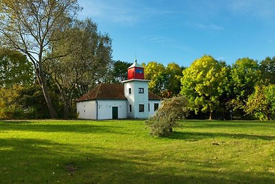 Gollwitzer Park Seesternchen