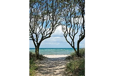Appartamento Vacanza con famiglia Poel