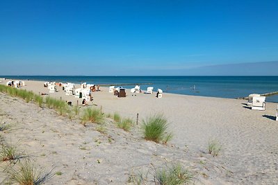 Ostsee Residenz Meeresblick Strandmuschel