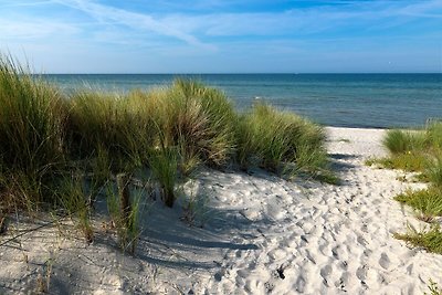 Doppelhäuser zum Reetmoor Haus Kirsten