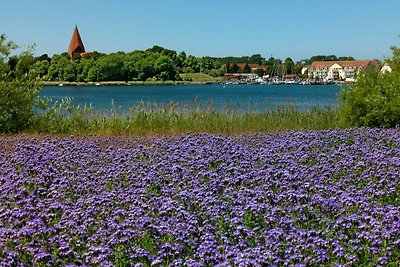 Vakantieappartement Gezinsvakantie Weitendorf