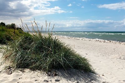 Ostsee Residenz Meeresblick Seemöwe