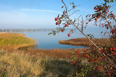 Gollwitzer Park Ostsee Harmonie