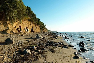 Vakantiehuis Ontspannende vakantie Poel