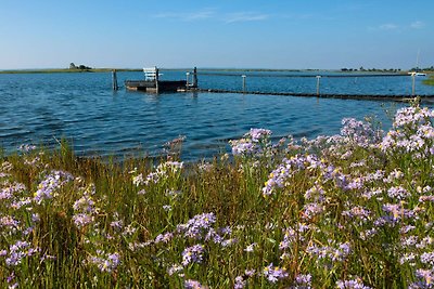 Vakantiehuis Ontspannende vakantie Poel