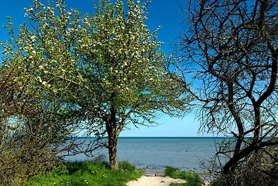 Appartamento Vacanza con famiglia Gollwitz