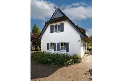 Ferienhaus Muschelsucher