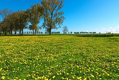 Buchenweg Godewind