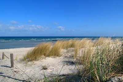 Doppelhäuser zum Reetmoor Haus Friederike