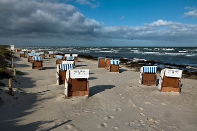 Vakantiehuis Ontspannende vakantie Poel