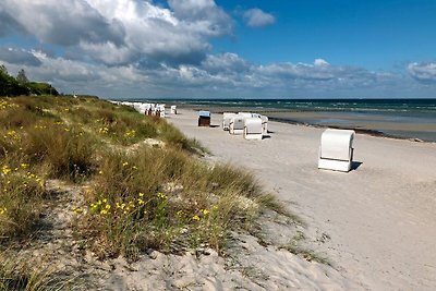 Ostsee Residenz Meeresblick Strandmuschel