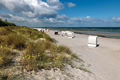 Ostsee Residenz Meeresblick Strandmuschel