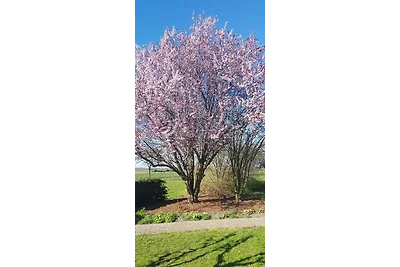 Insel-Idyll Sonnenschein