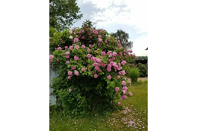 Insel-Idyll Morgentraum
