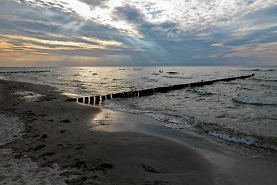 Ostsee Residenz Meeresblick Seemöwe