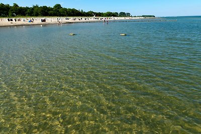 Ostsee Residenz Meeresblick Strandmuschel