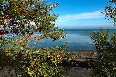 Gollwitzer Park Ostsee Harmonie