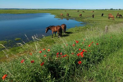 Ferienwohnungen Am Lotsenstieg Abendrot