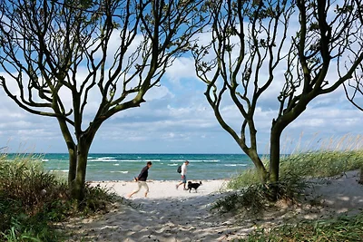 Haffblick