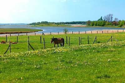 Vakantieappartement Gezinsvakantie Weitendorf