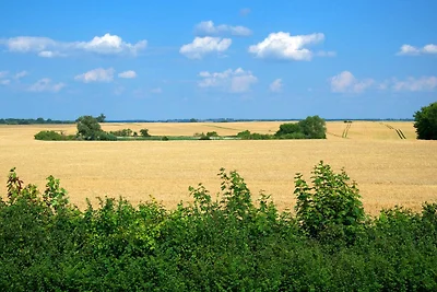 Haffblick