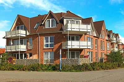 Haus Südwester Ringelrobbe