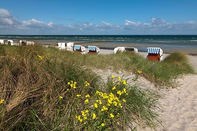 Ostsee Residenz Meeresblick Strandjuwel