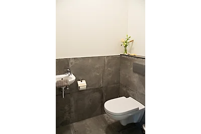 Hetbollenhuisaanzee