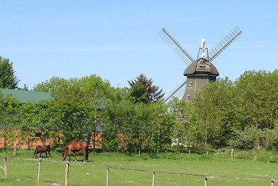 Müllerhaus Westermöhl