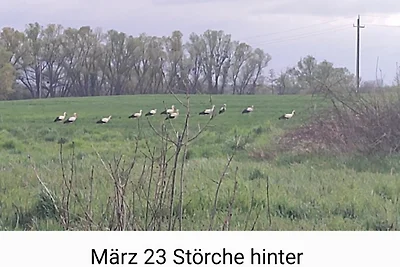 Frei 17.5.-31.5. Und ab 28.06.2025