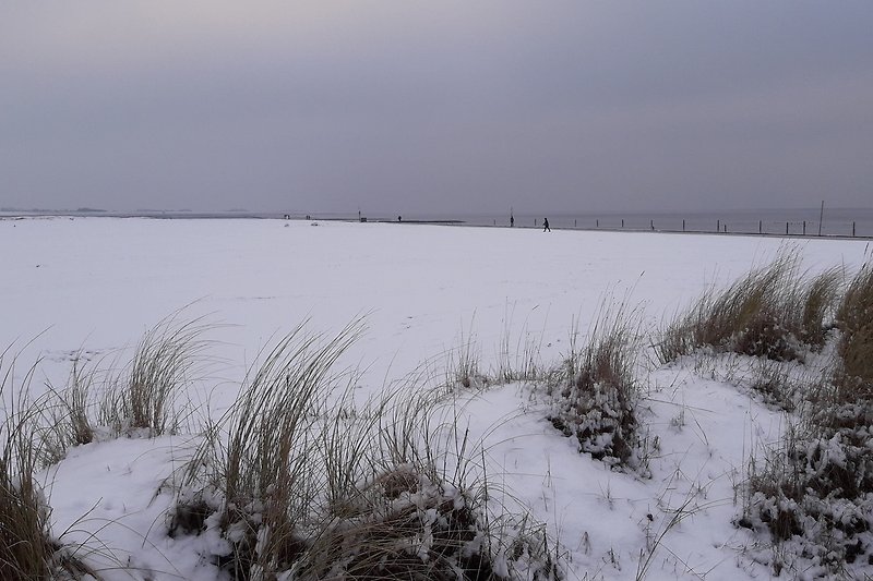 Unser Tipp für die Erholung: Winter an der Nordsee