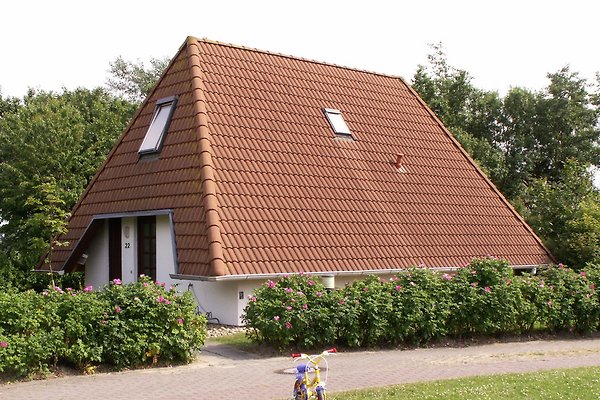 Ferienhaus Dorum-Neufeld