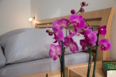 Strandmuschel Garden Suite