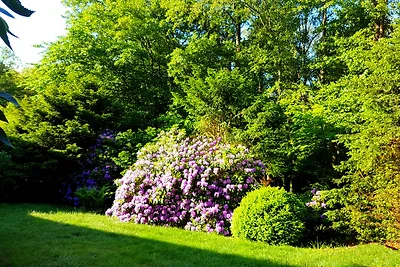 Strandmuschel Garden Suite