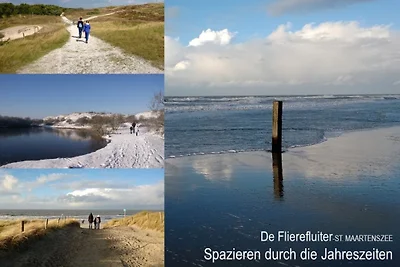 De Flierefluiter