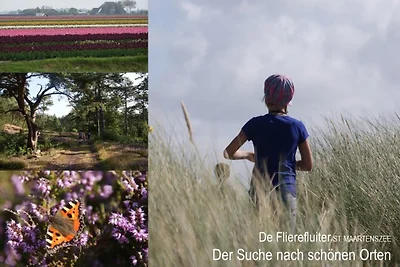 De Flierefluiter