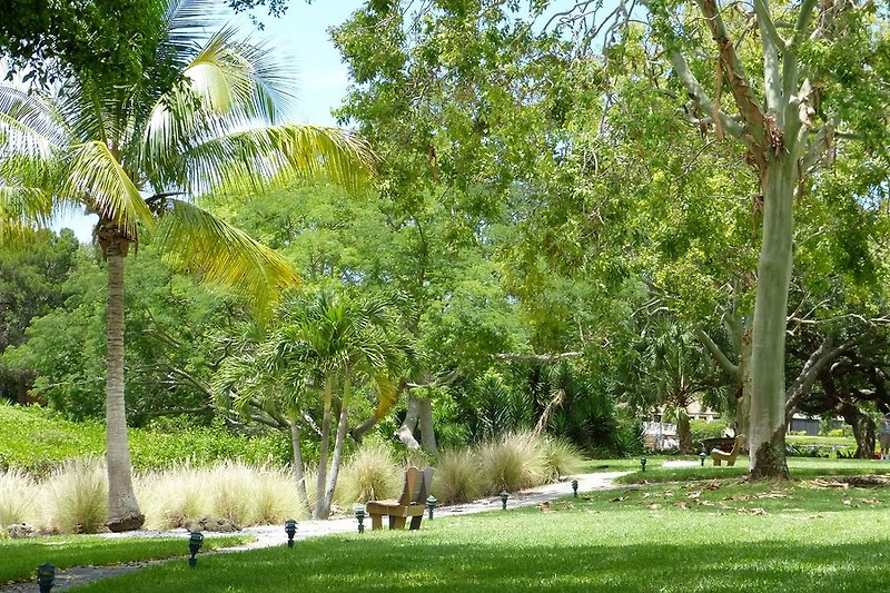 Tropische Parkanlage, der perfekte Ort zum Entspannen