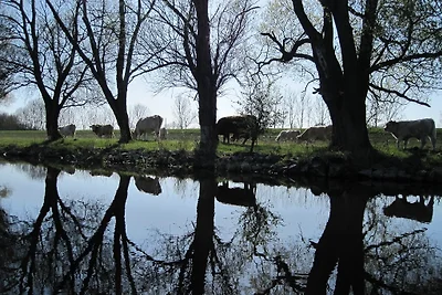 Ferienhaus Elbhavelwinkel