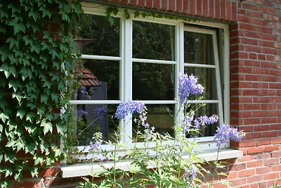 Ferienhaus Elbhavelwinkel