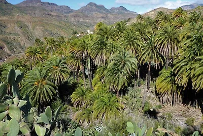 Finca Ansite - El Refugio