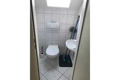 Wohnung in Kamperland - Schotsman
