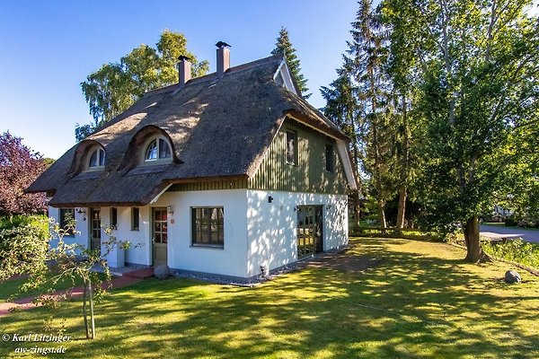 Ferienhaus Zingst