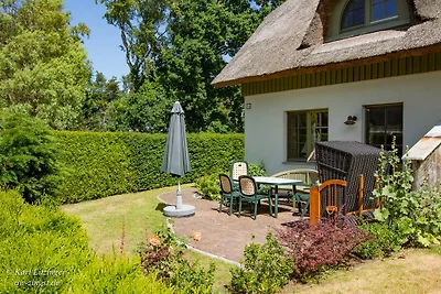 Casa Reeth Donath