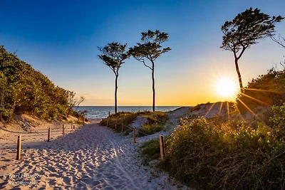 AW Casa vacanze Wieck (a Zingst)