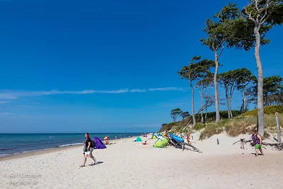 Appartamento AW Pramort (a Zingst)