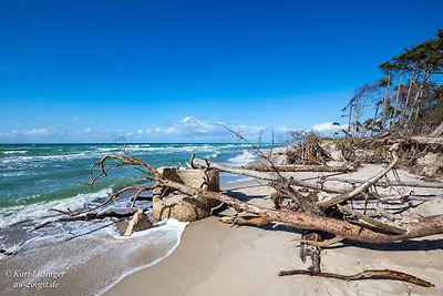 AW Haus Prerow (a Zingst)