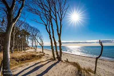 AW Casa vacanze Wieck (a Zingst)
