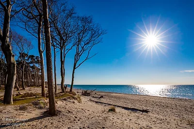 AW Haus Prerow (a Zingst)