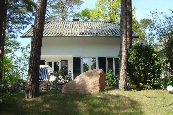 Ferienhaus Baabe
